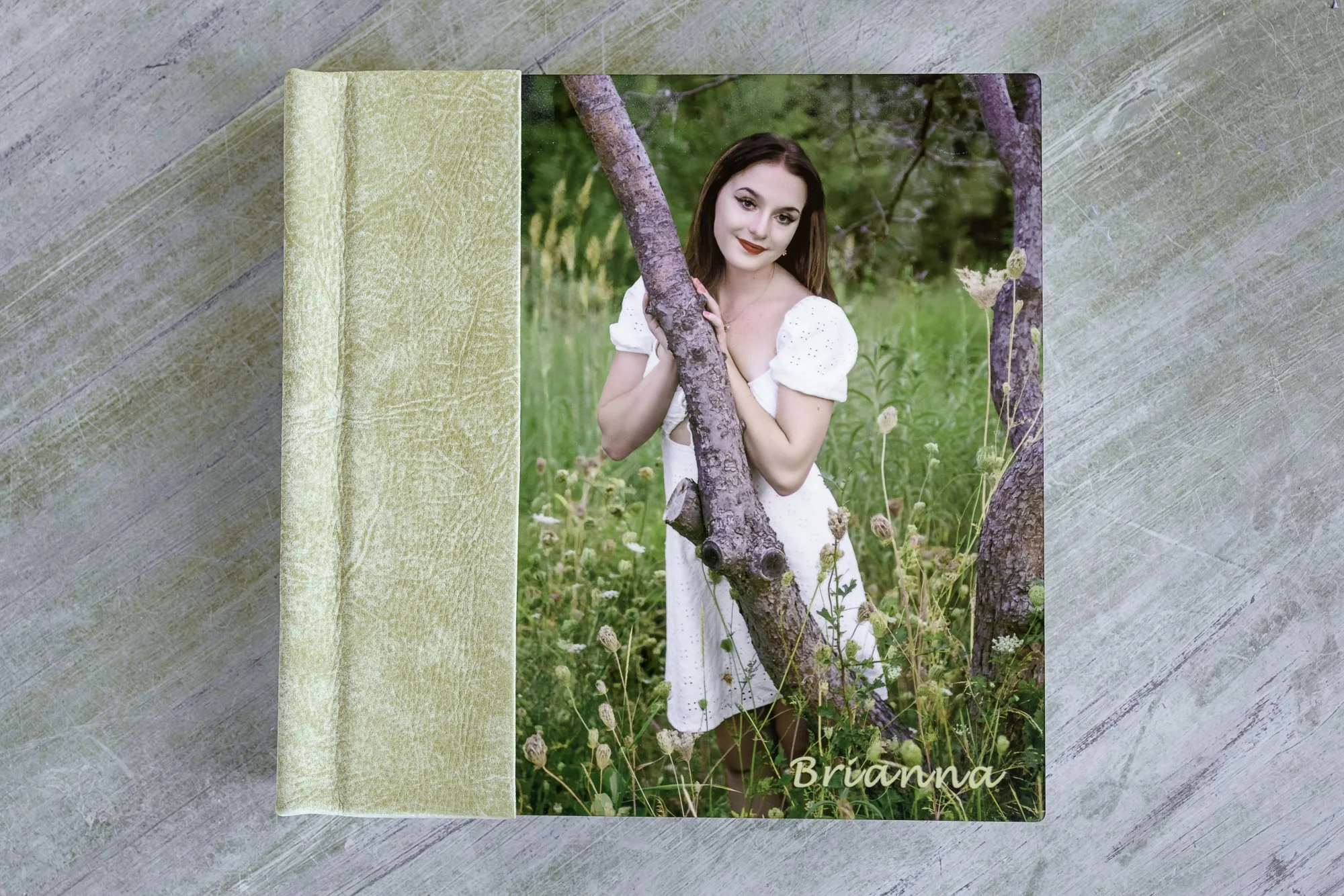 Jennifer Lynn Photography senior signature albums cover metal custom