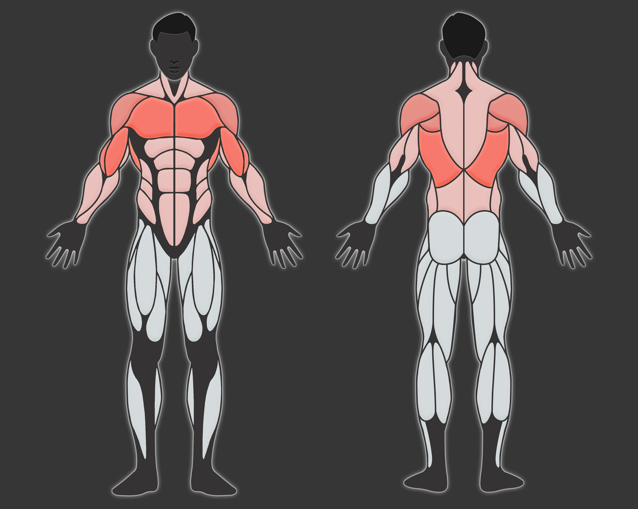  Muscle Recovery Figure : Male 