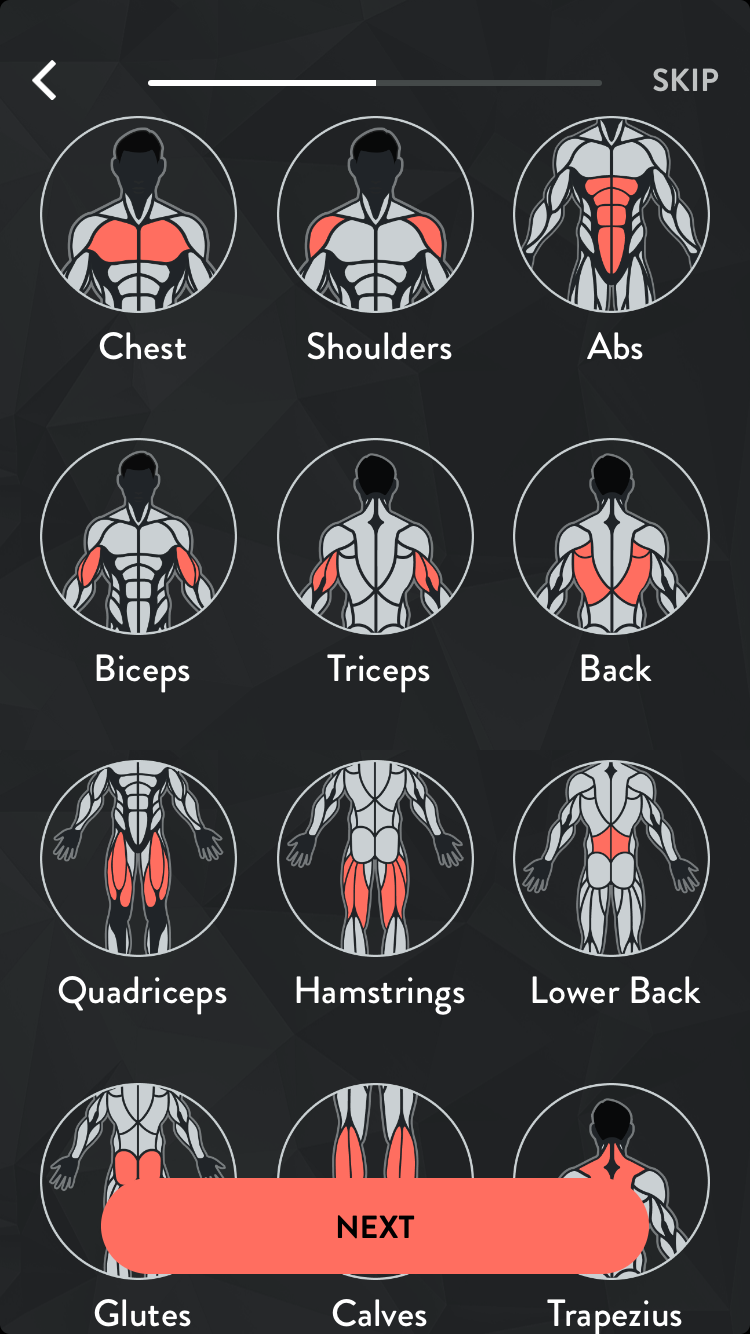  Muscle Icons.  