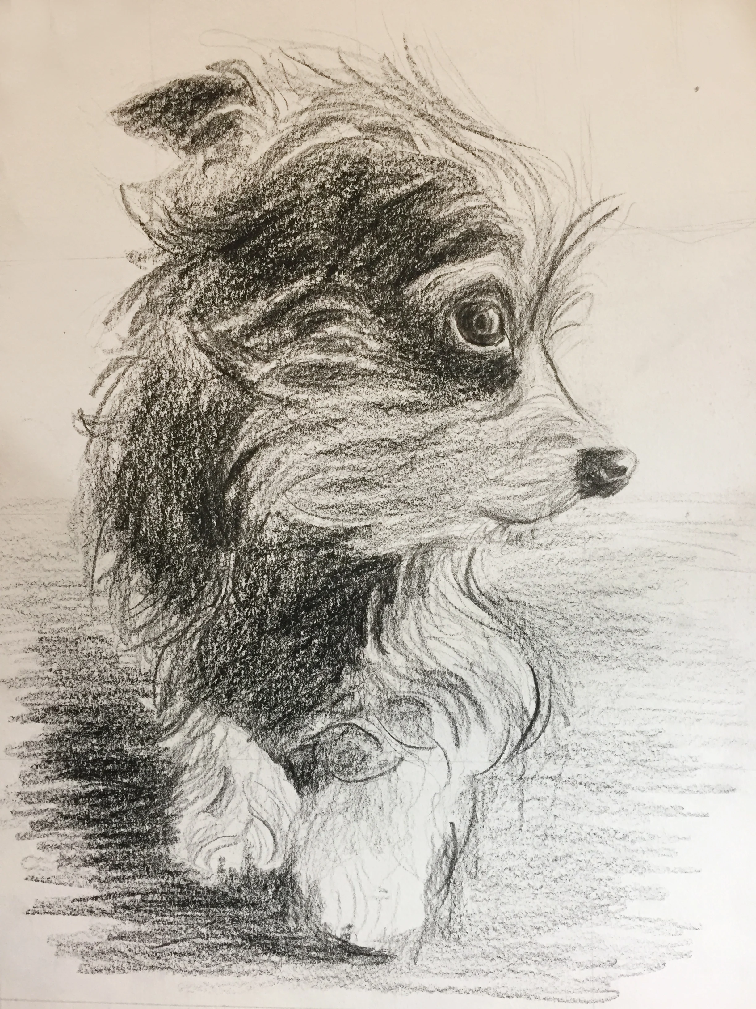 MochaSideSketch2.jpg