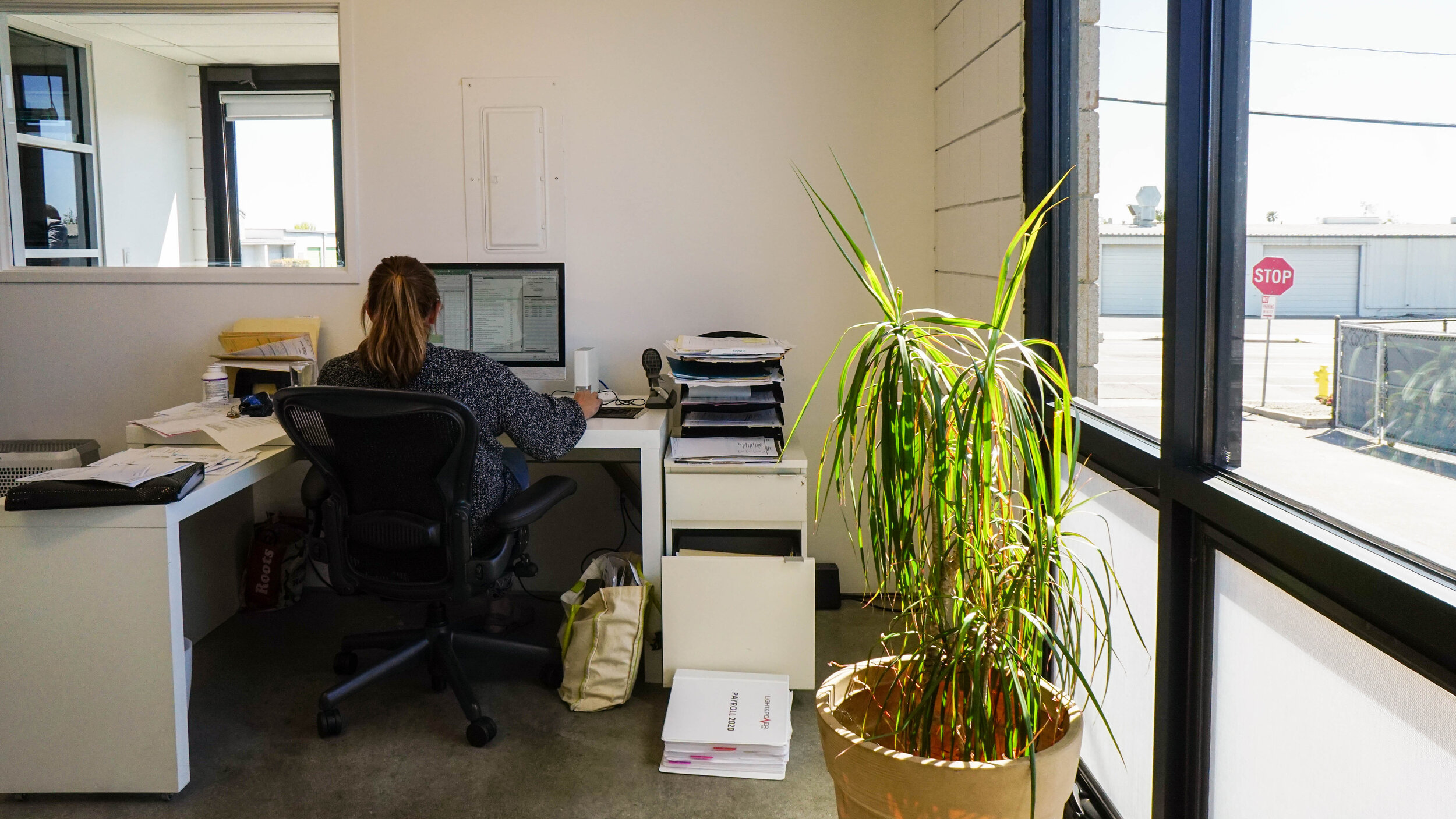 A woman working on a computer seen from the back