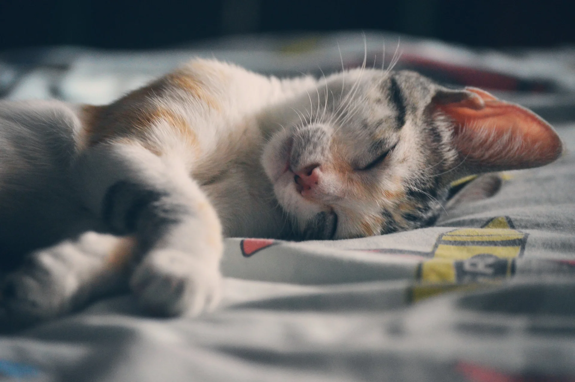 Three reasons why sleep is important for your health
