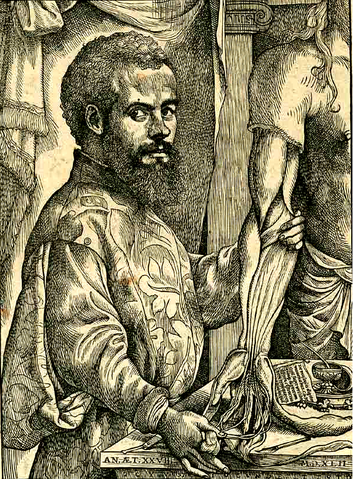353px-Vesalius_Portrait_pg_xii_-_c.png