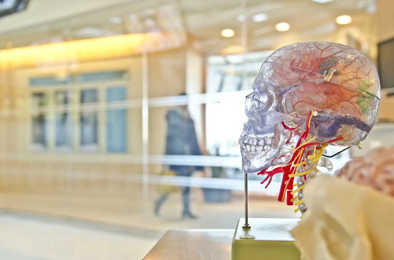 Complementary Treatment for a Patient with Migraine Headaches