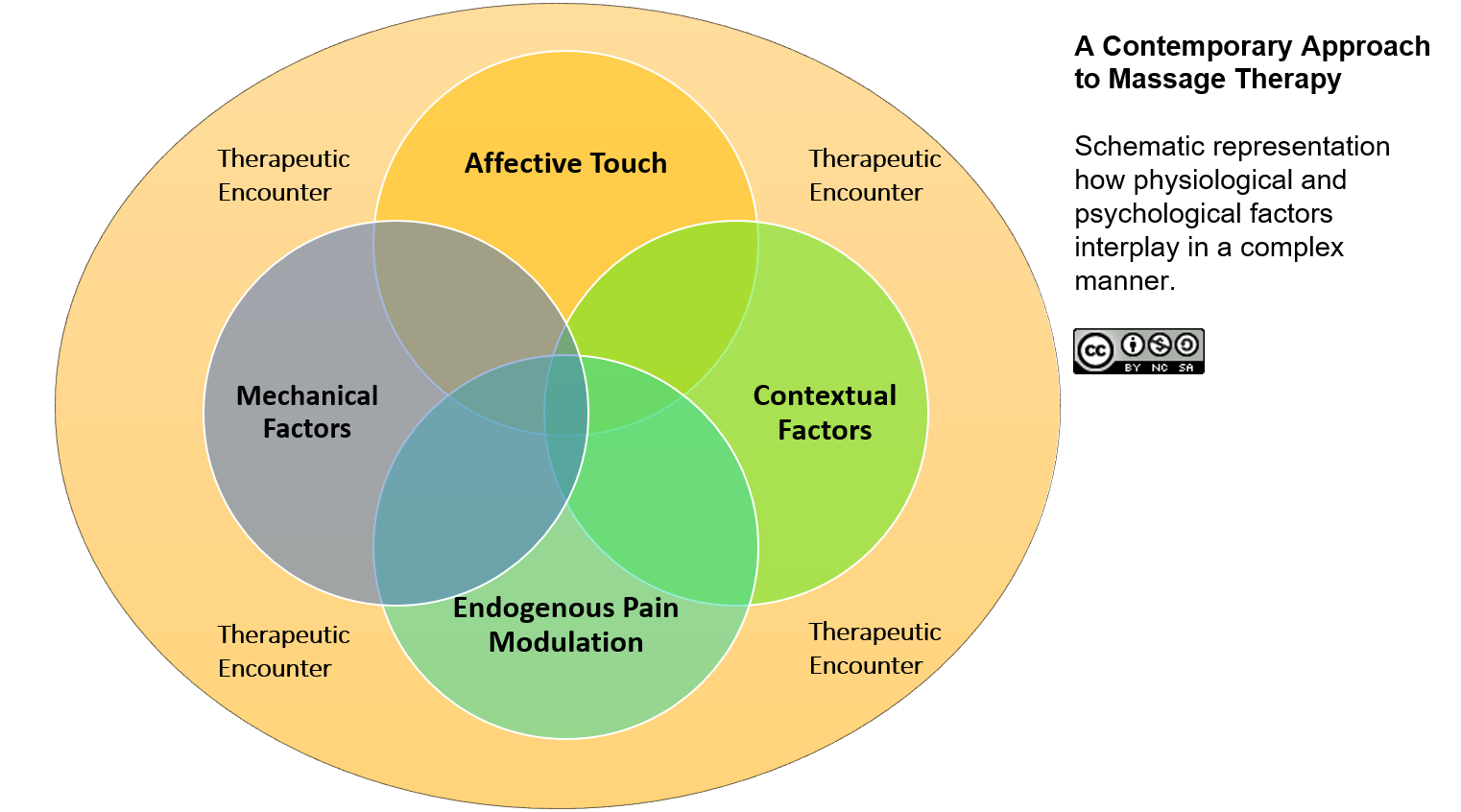 Massage Therapy A Review Of The Evidence — Richard Lebert Registered Massage Therapy