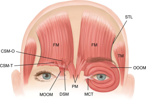 Eye Massage