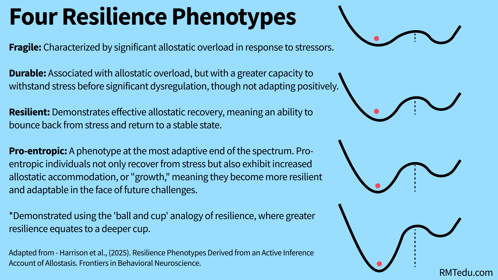 Four Resilience Phenotypes