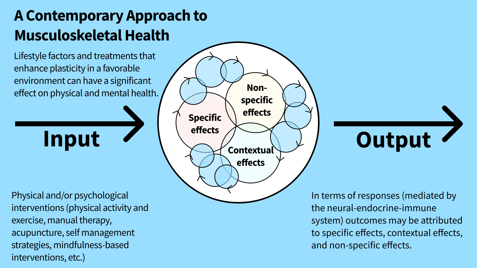 A Contemporary Approach to Musculoskeletal Health