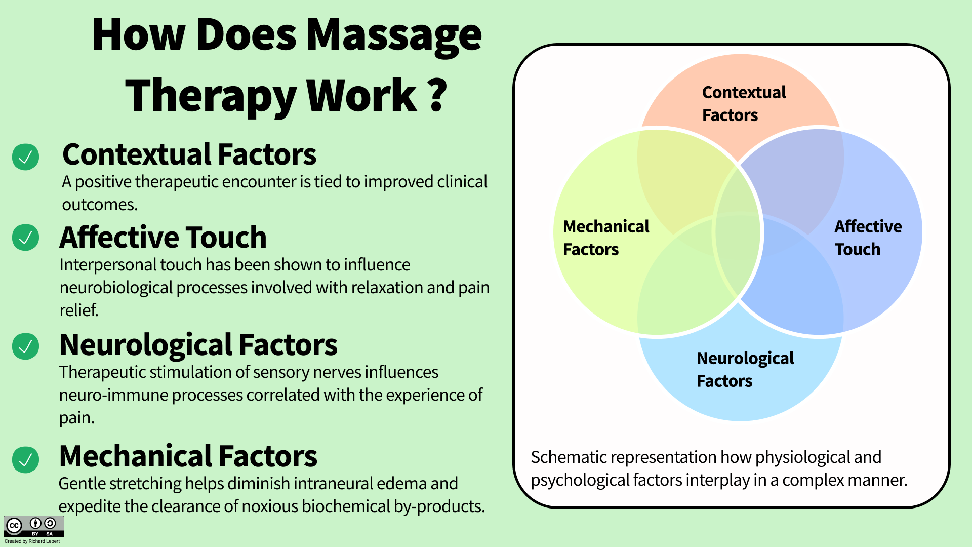 How Does Massage Therapy Work — Richard Lebert Registered Massage Therapy