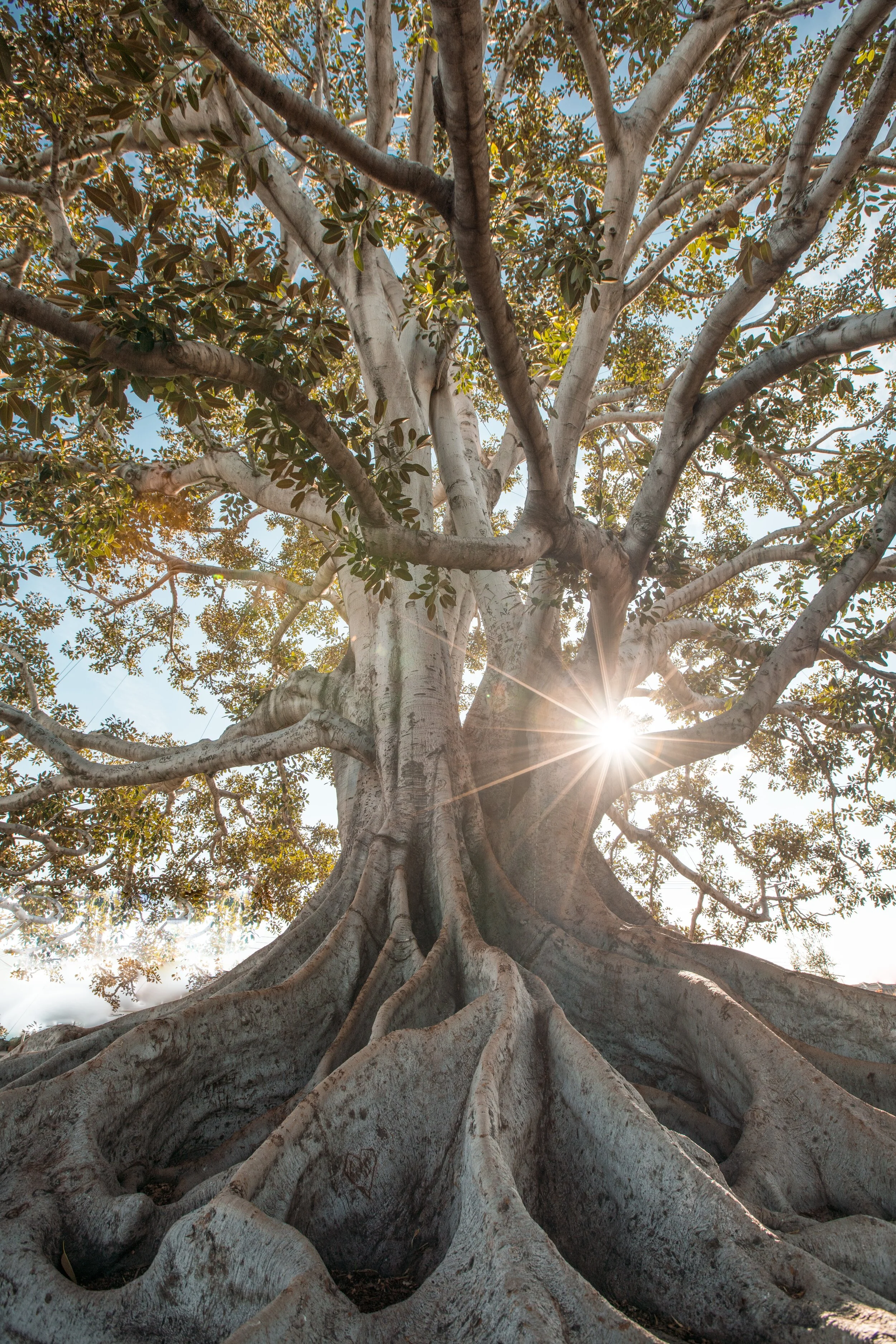 Photo by Jeremy Bishop on Unsplash