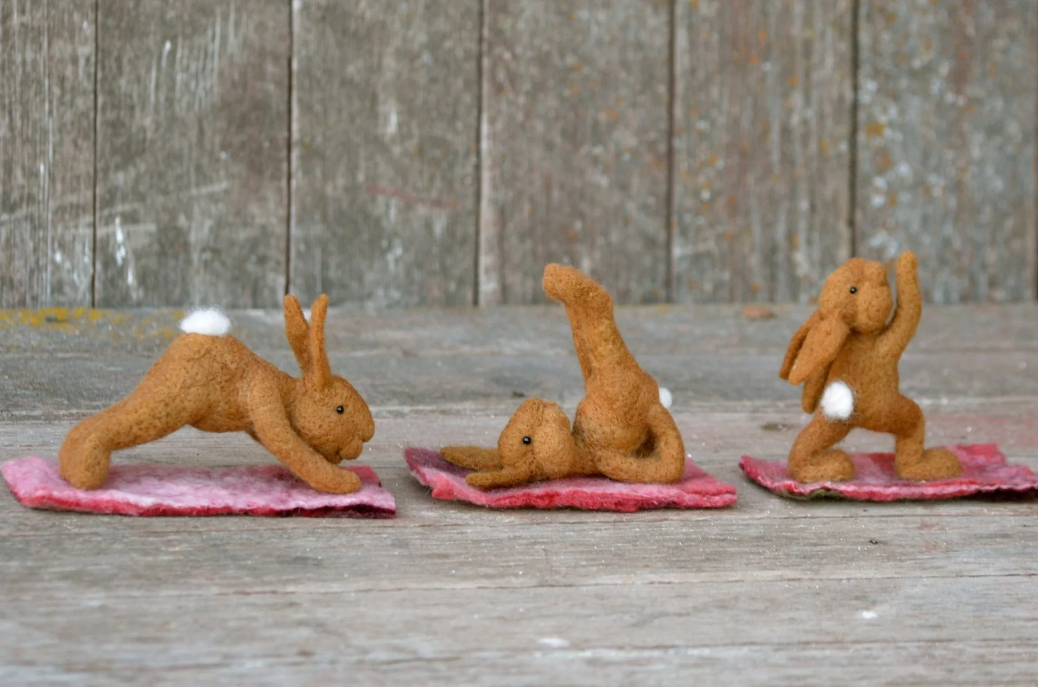 Easter Sunday Yoga