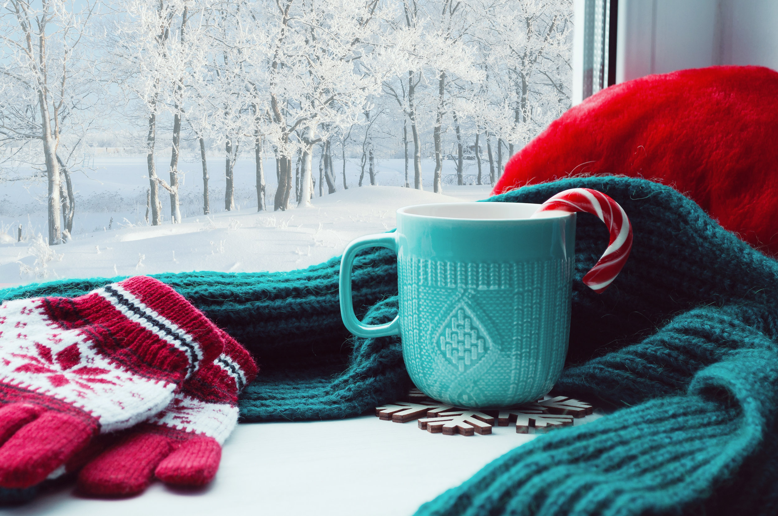 snowywindowscene.jpeg