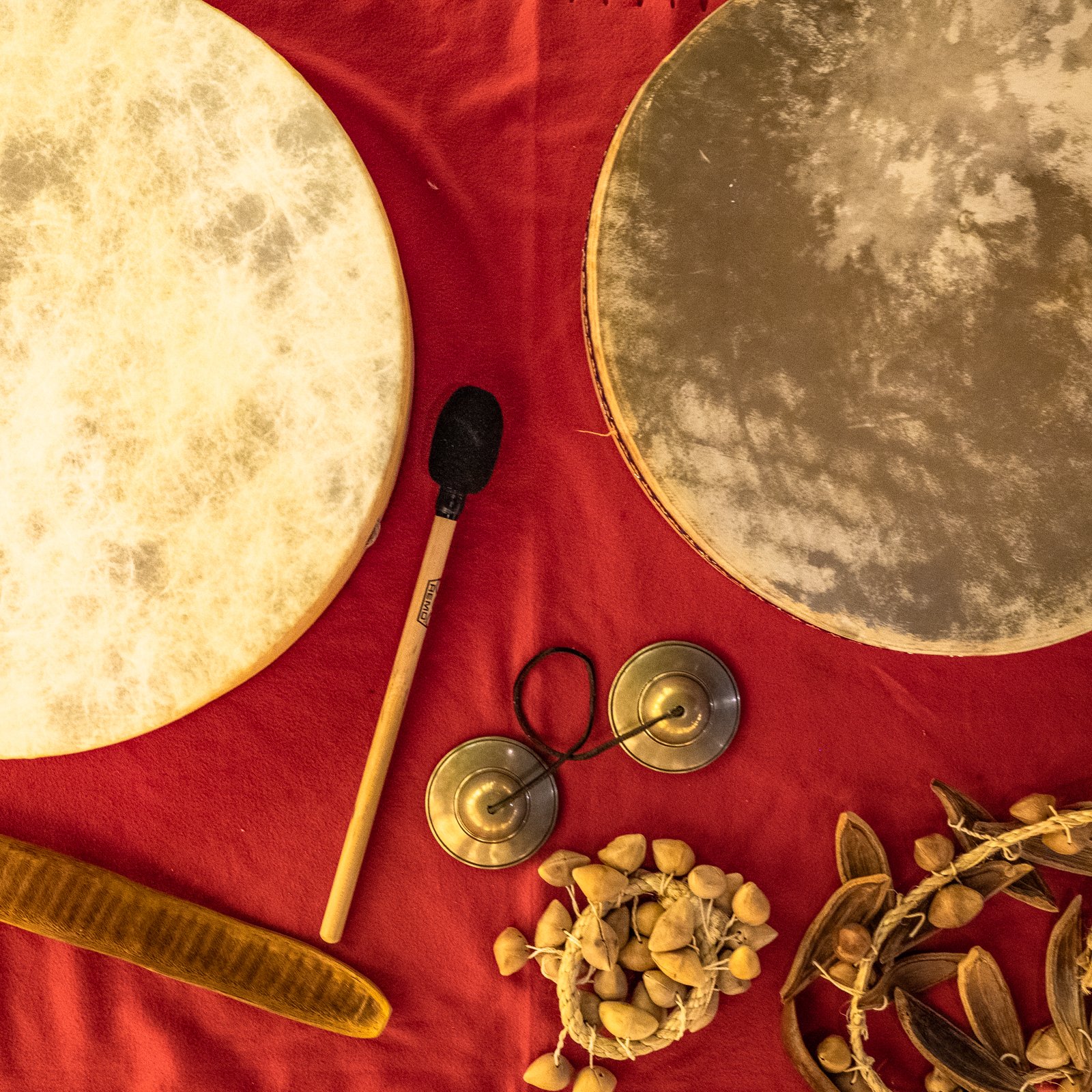 Higher Frequency Living's various  instruments