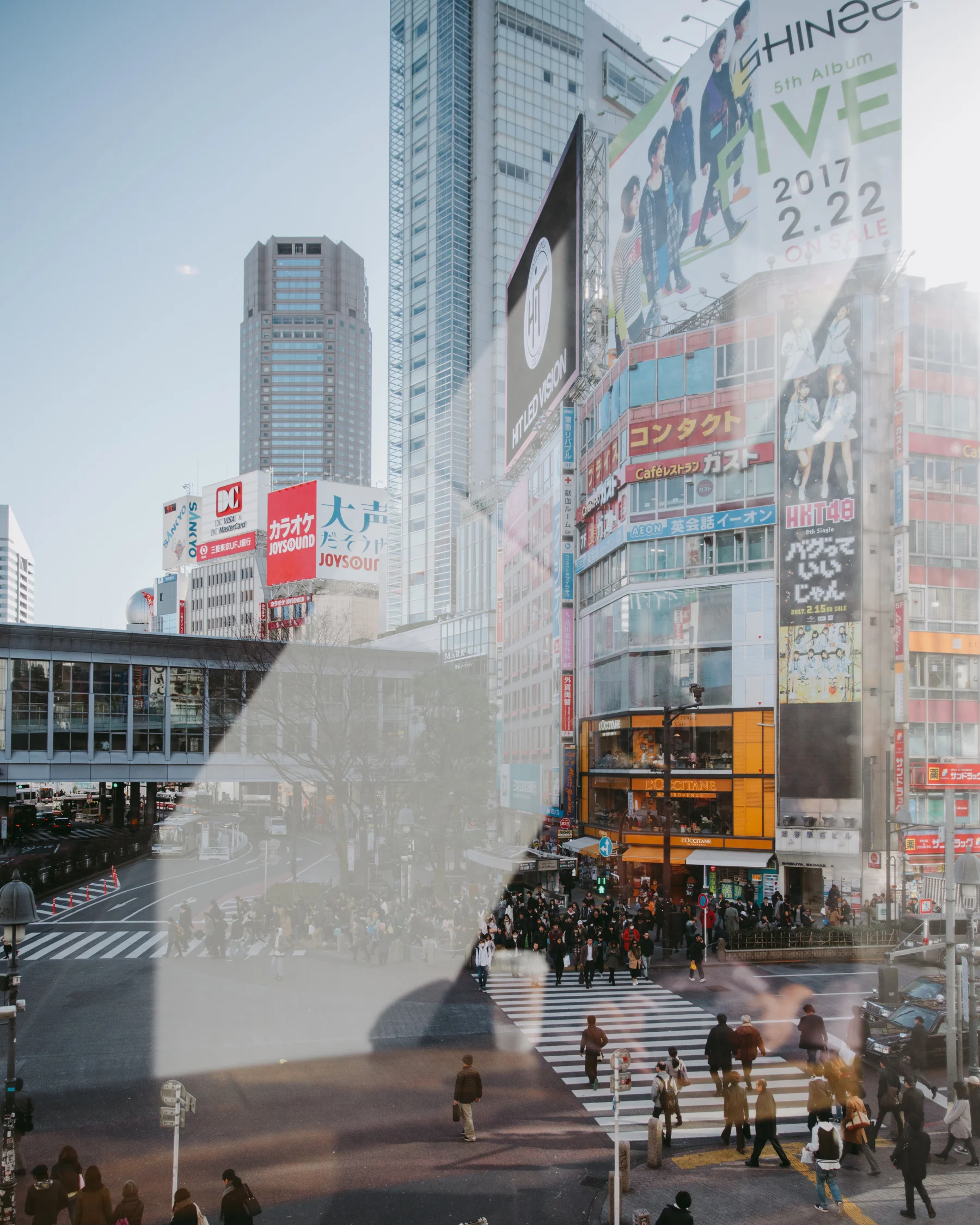 MikeSeehagel_Japan-Tokyo_5D4_4686.jpg