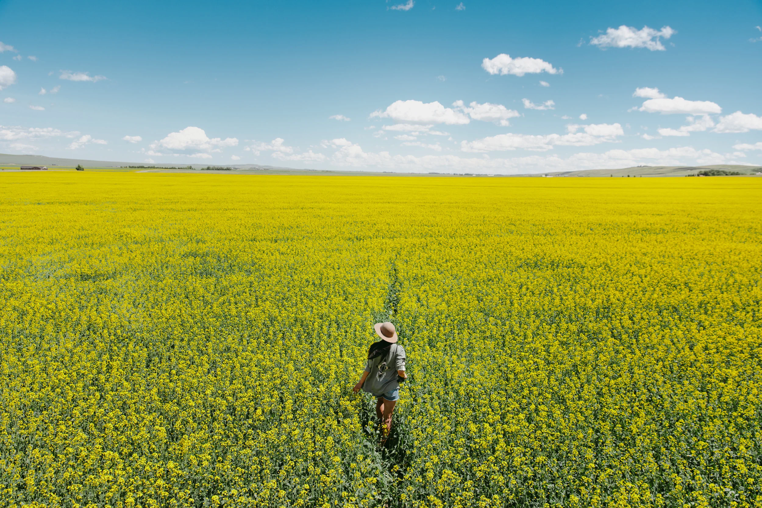 MikeSeehagel-TravelAlberta-Ready-Rebrand_Canada-LifestylePhotography_23.jpg