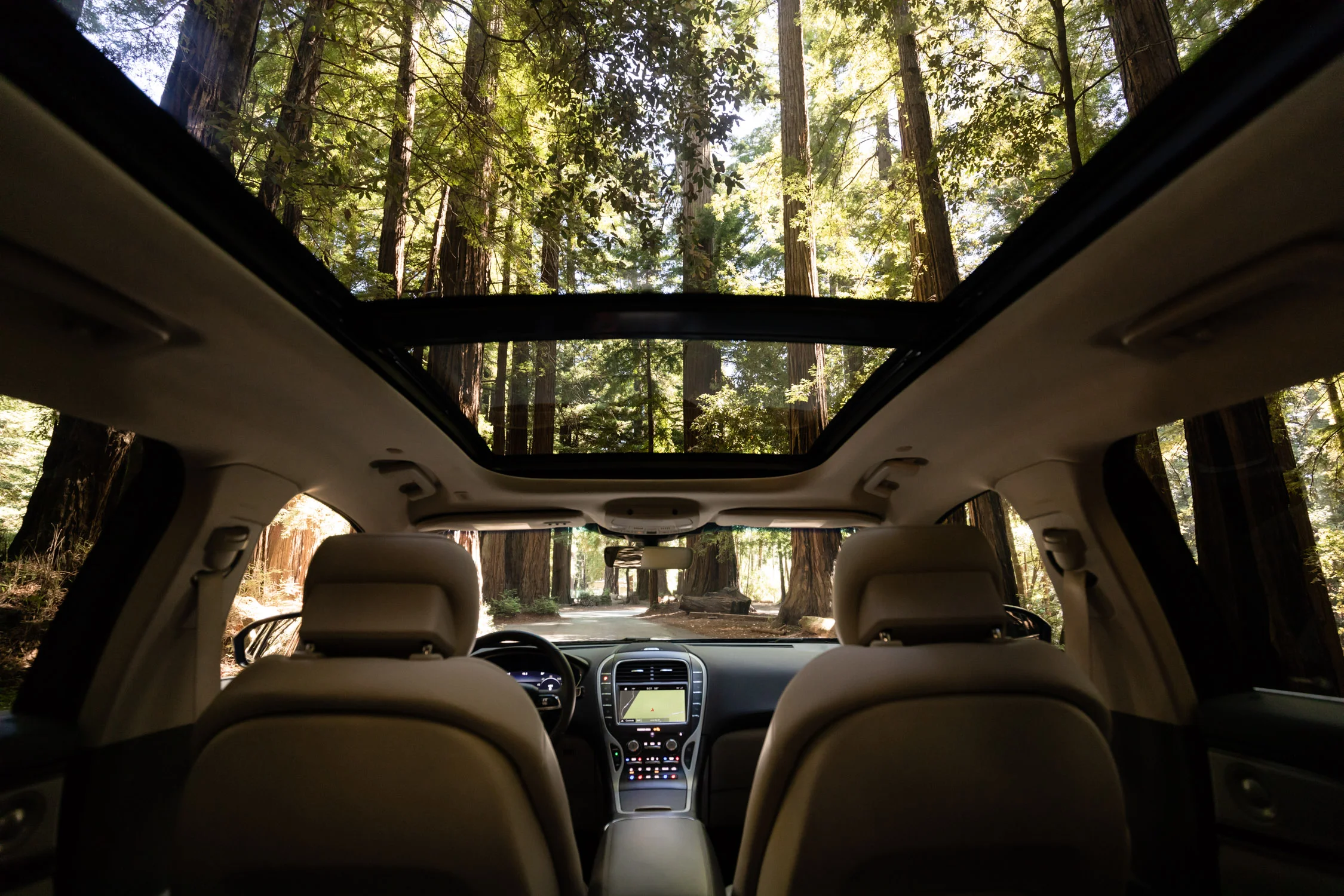 18_LNC_NTS_WOODS_1482-V02.jpg