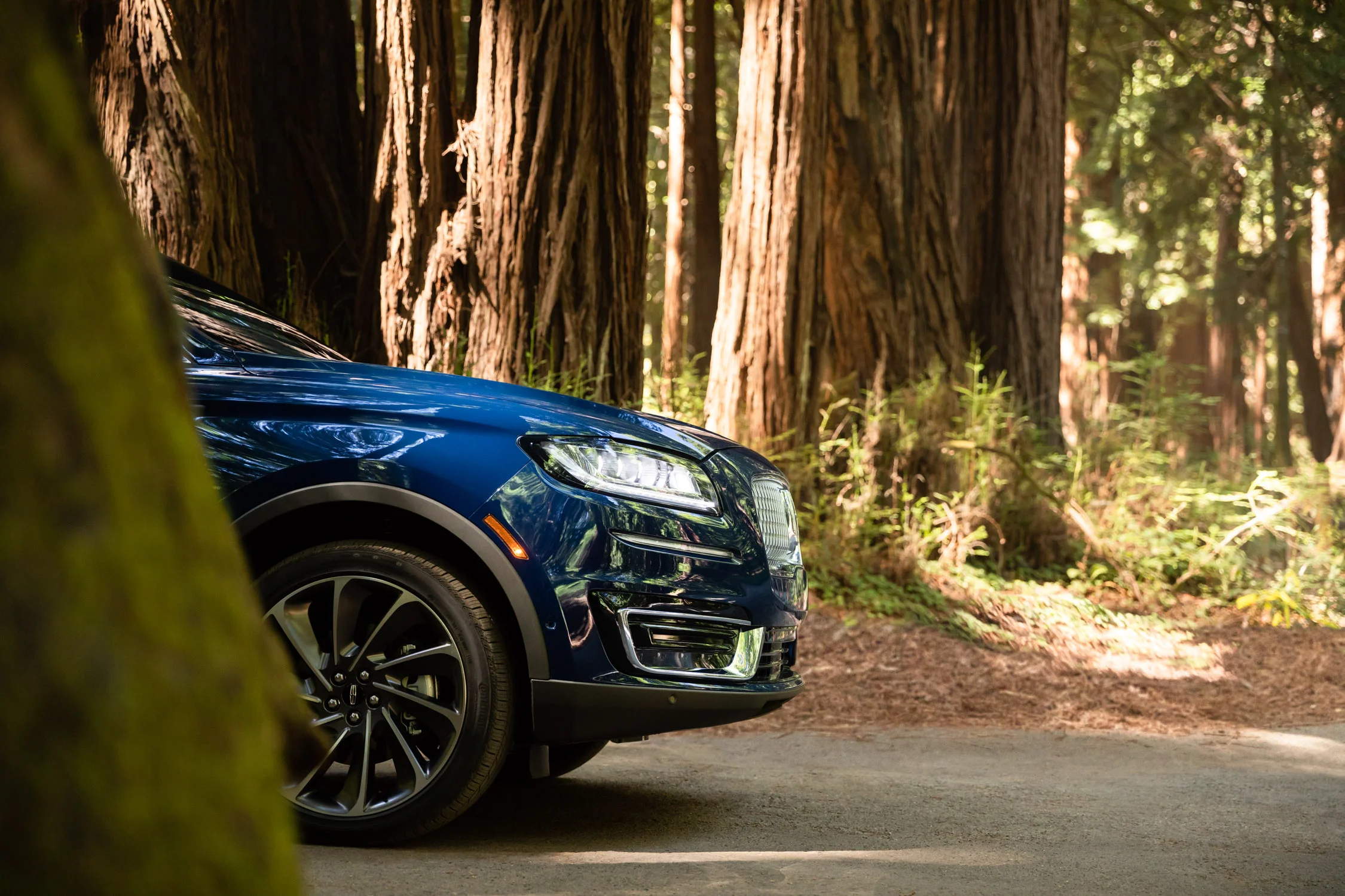 MikeSeehagel_18_LNC_NTS_WOODS_1471-V02.jpg