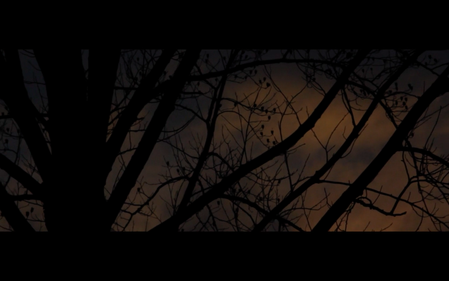 Screen Shot 2017-02-20 at 5.46.26 PM.png