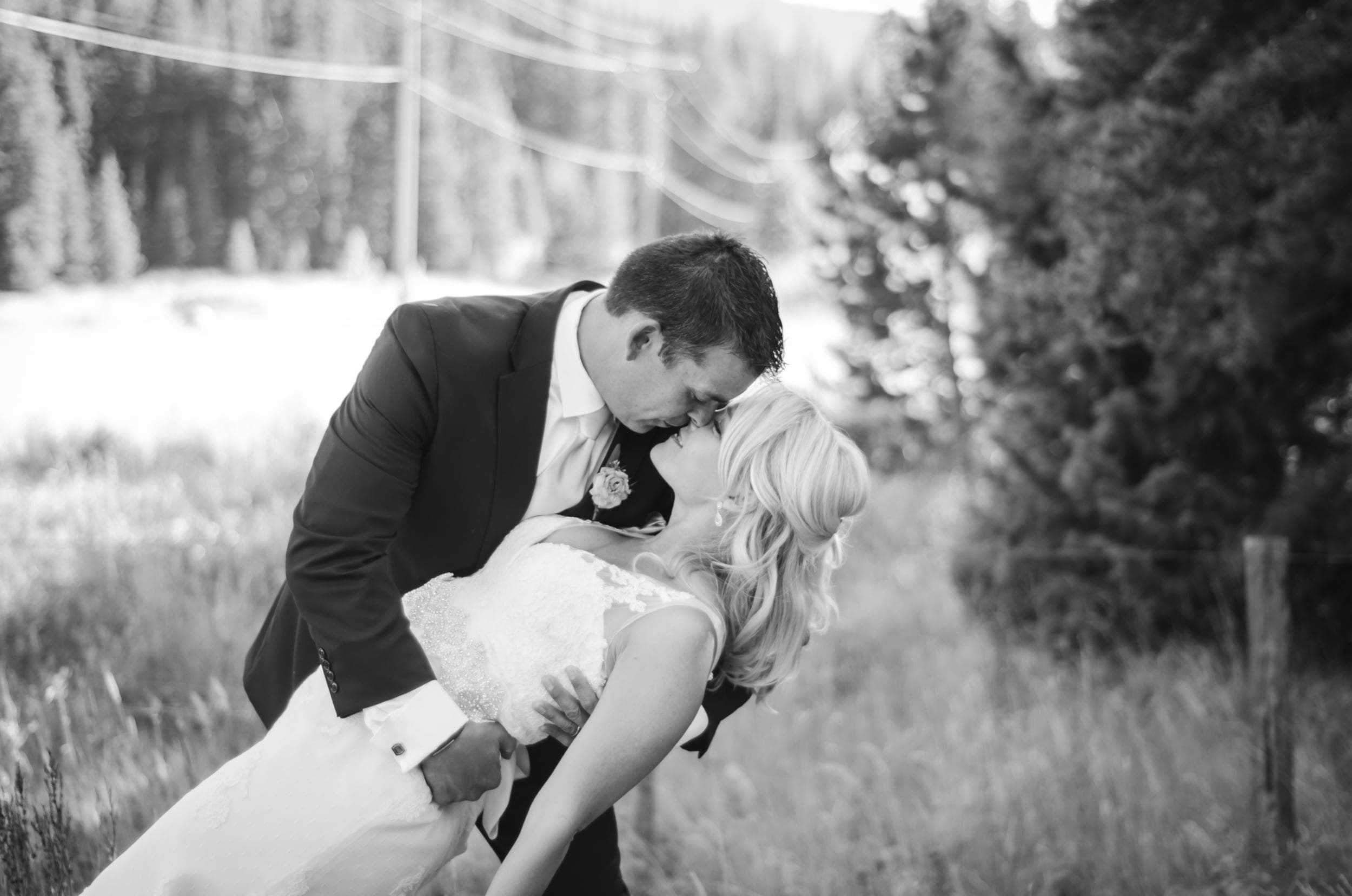 pronovias wedding dress denver
