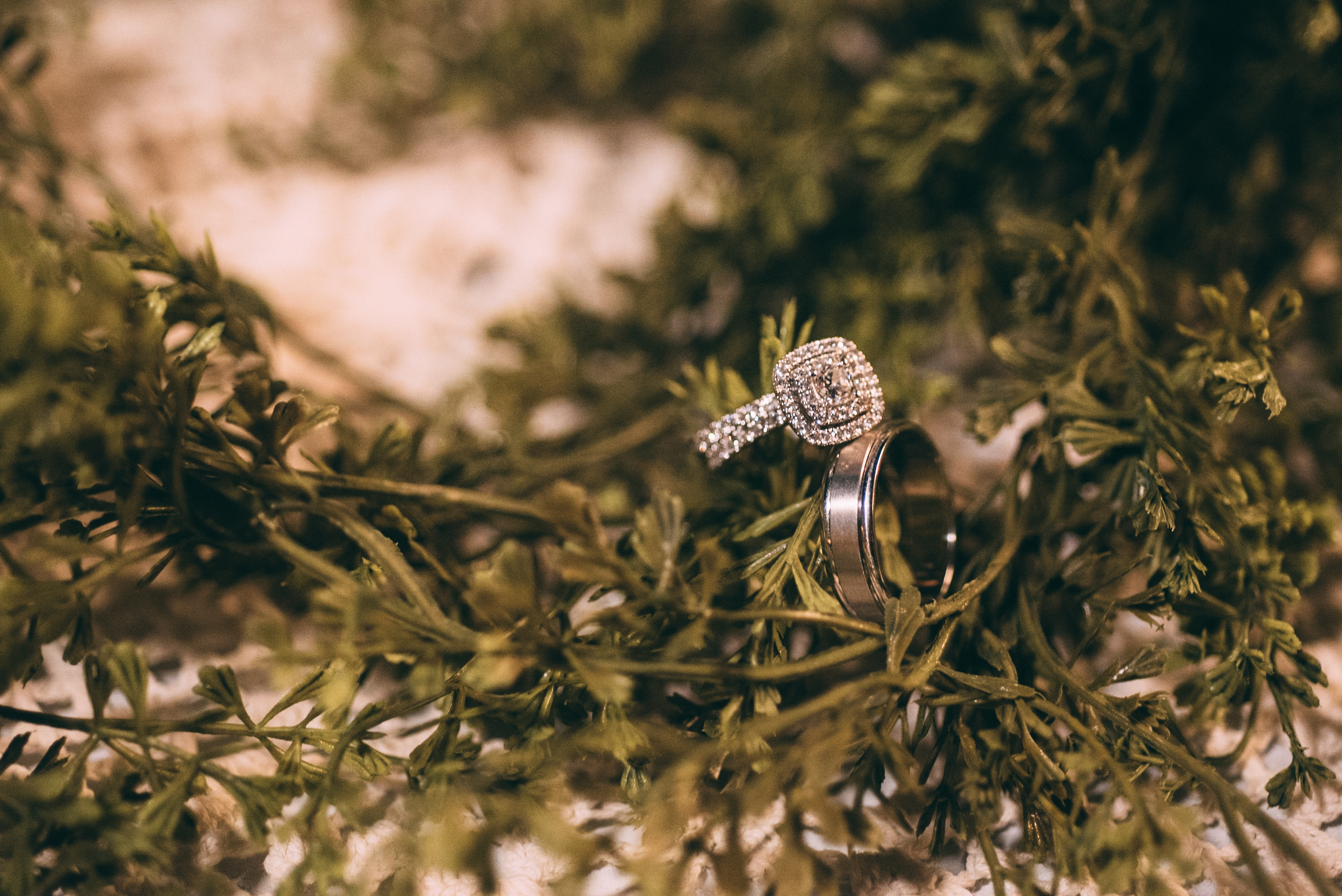 ConsentinoWedding-345.jpg