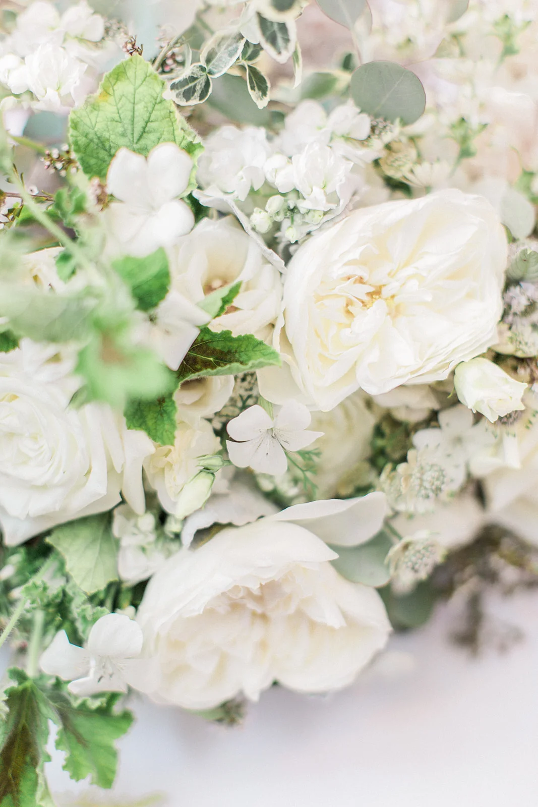 Anita S Flowers A Secret Garden Awaits