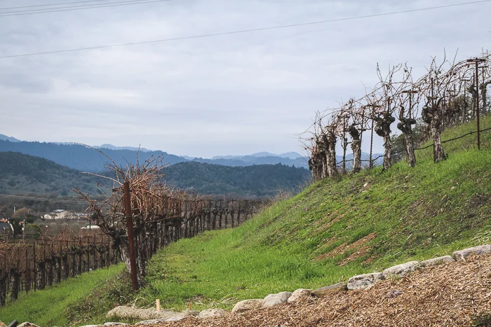 Napa and Sonoma Inspiration