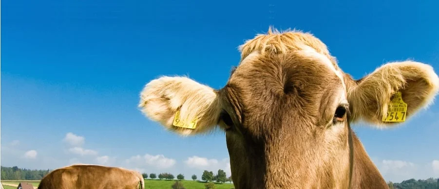 ARMM FB background  Lobby.jpg