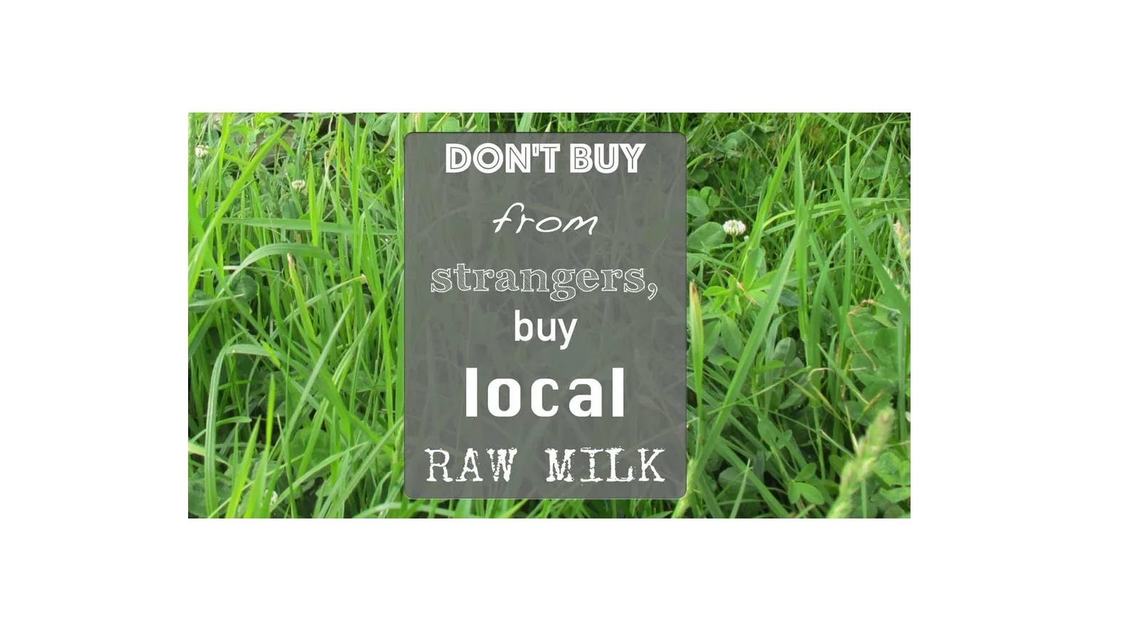 dont buy.jpg