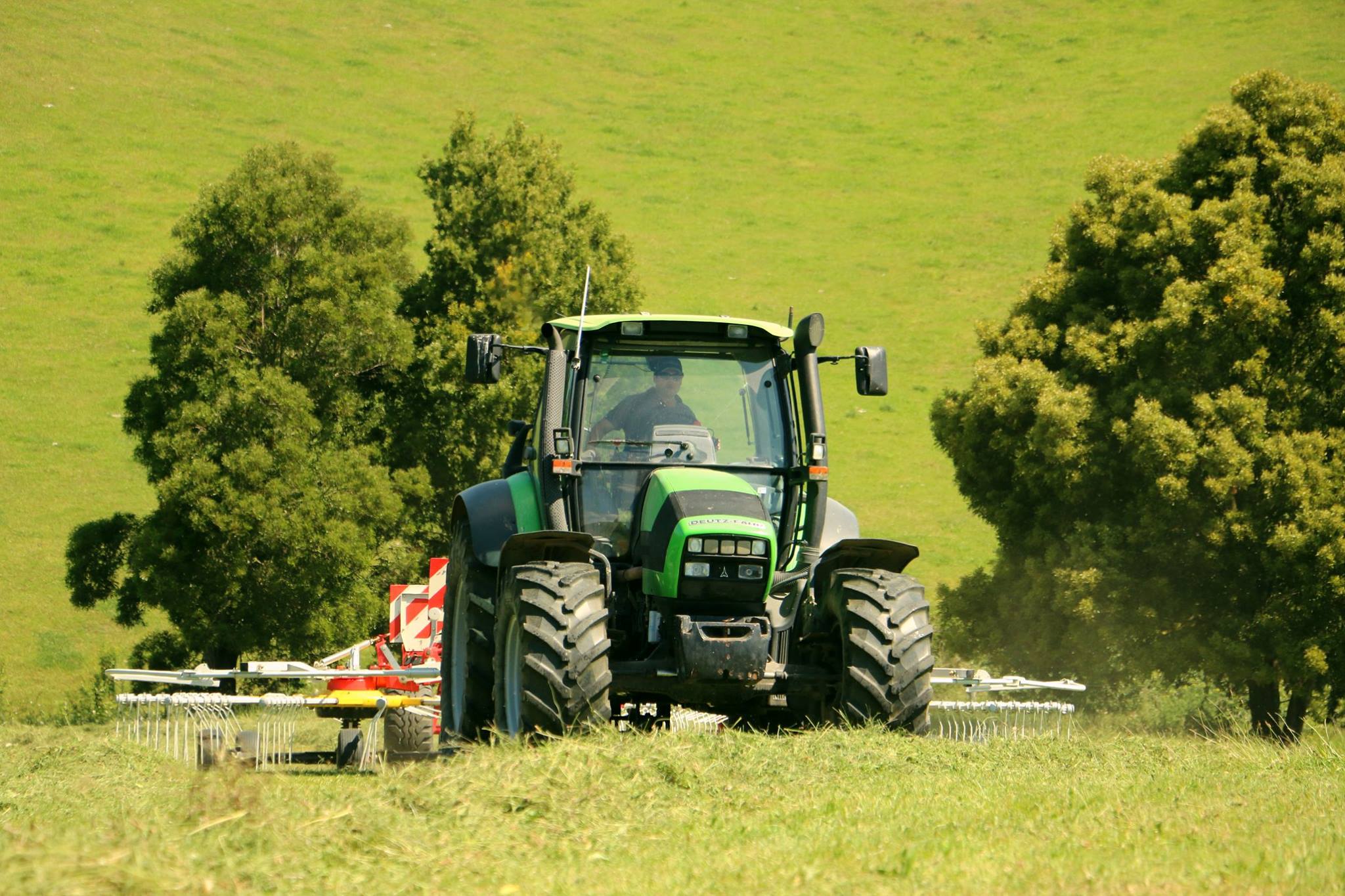 Making hay