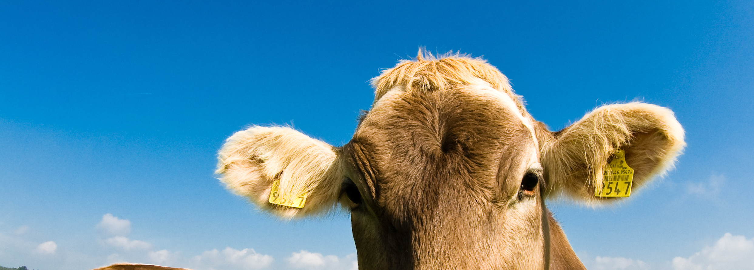 AdobeStock_12161158 copy.jpeg