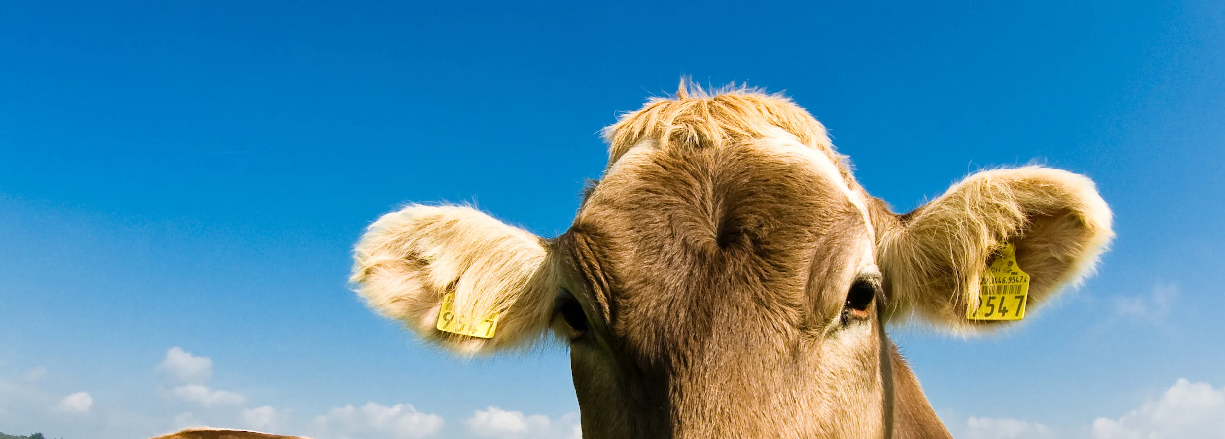 AdobeStock_12161158 copy.jpeg