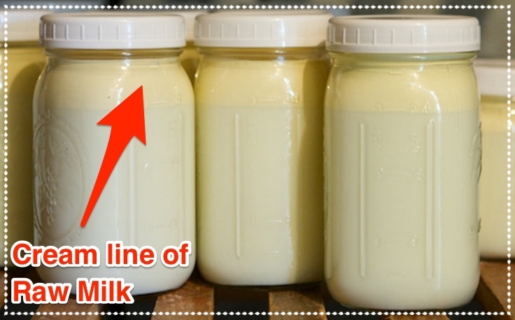Raw Milk - CooksInfo