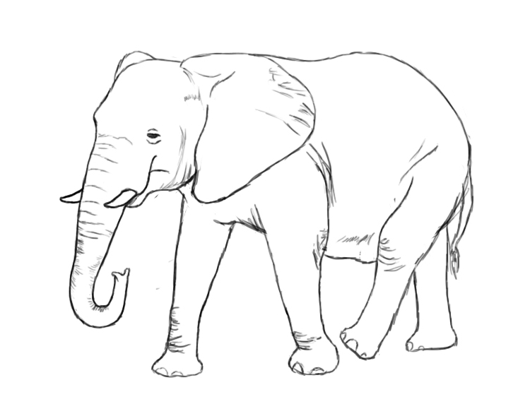 Is there an elephant in the room?