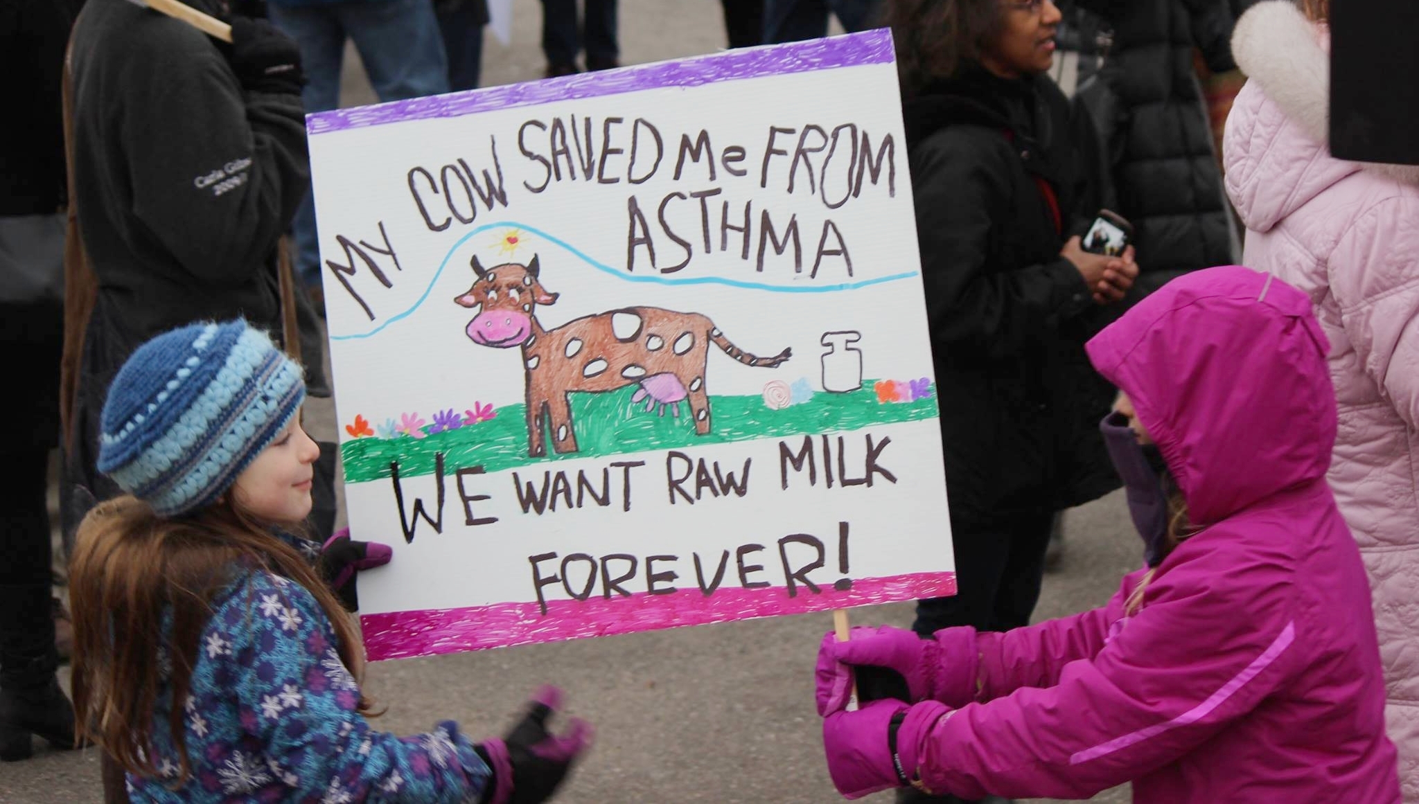 Photo: from the Newmarket Raw Milk rally in Canada ( source )
