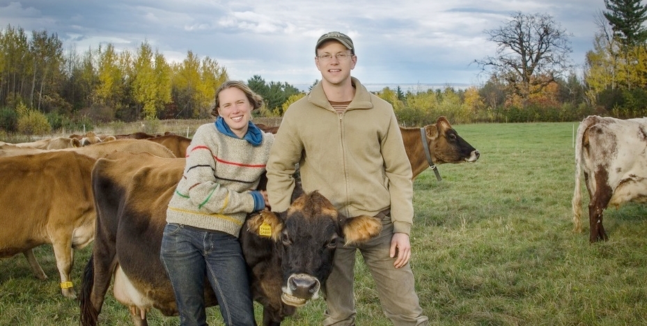 Photo: Ashlee Kleinhammer, Steve Googin and the herd of Milking Shorthorn and Jerseys. Click on image for a larger view. Source .