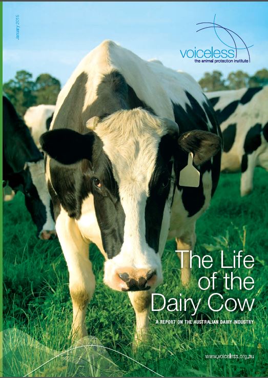 Image: read the Voiceless report here .