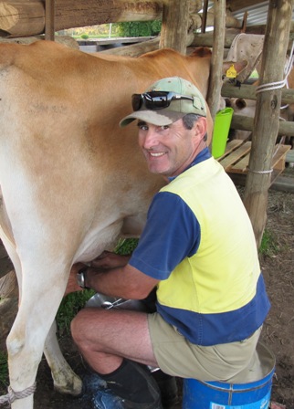Image: Rowen milking a Jersey cow