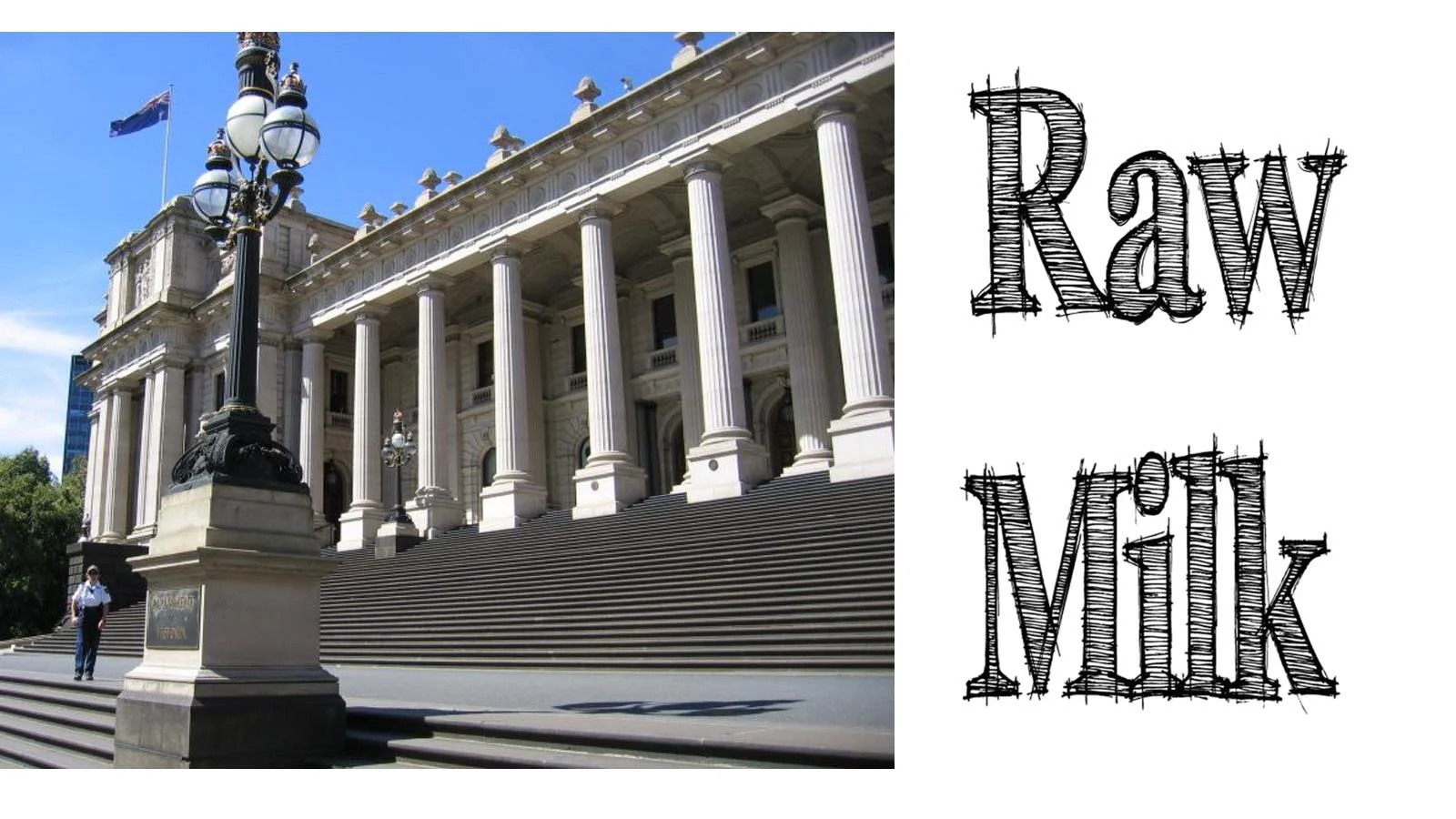 parliament banner.jpg