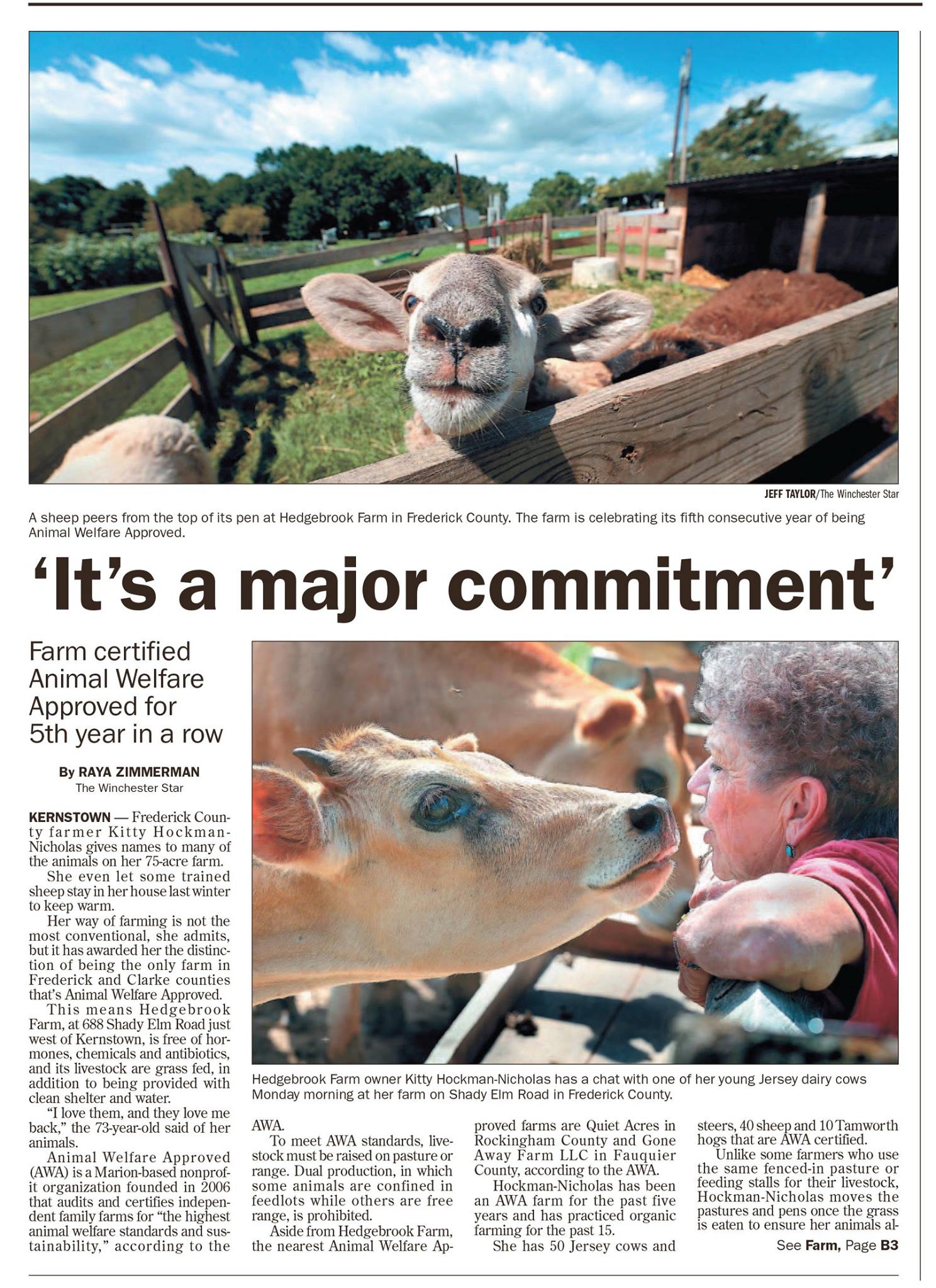 Image : a June 2015 article from The Winchester Star by Raya Zimmerman, click on images to enlarge