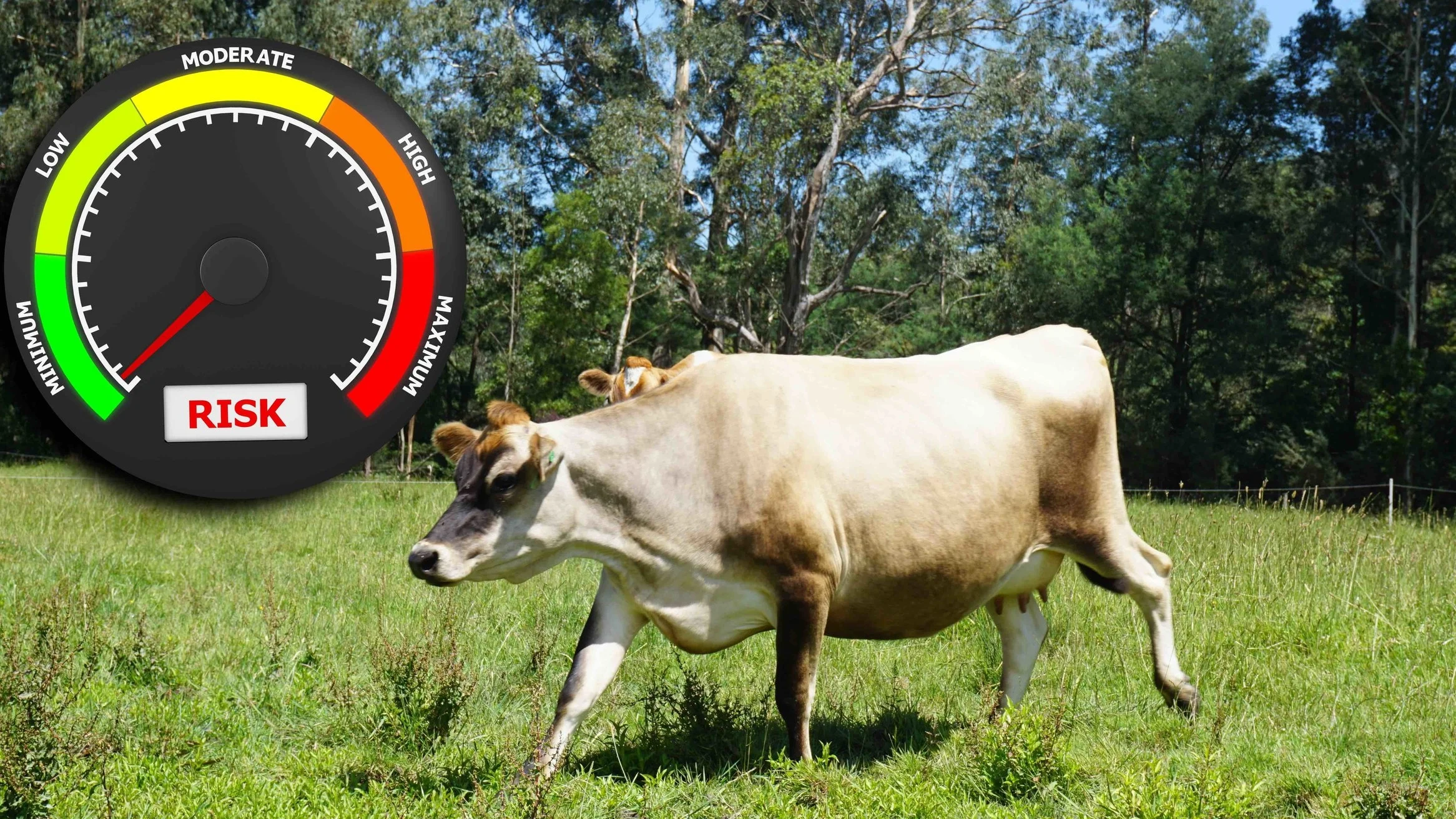 What do Raw Milk Consumers want? Part 2