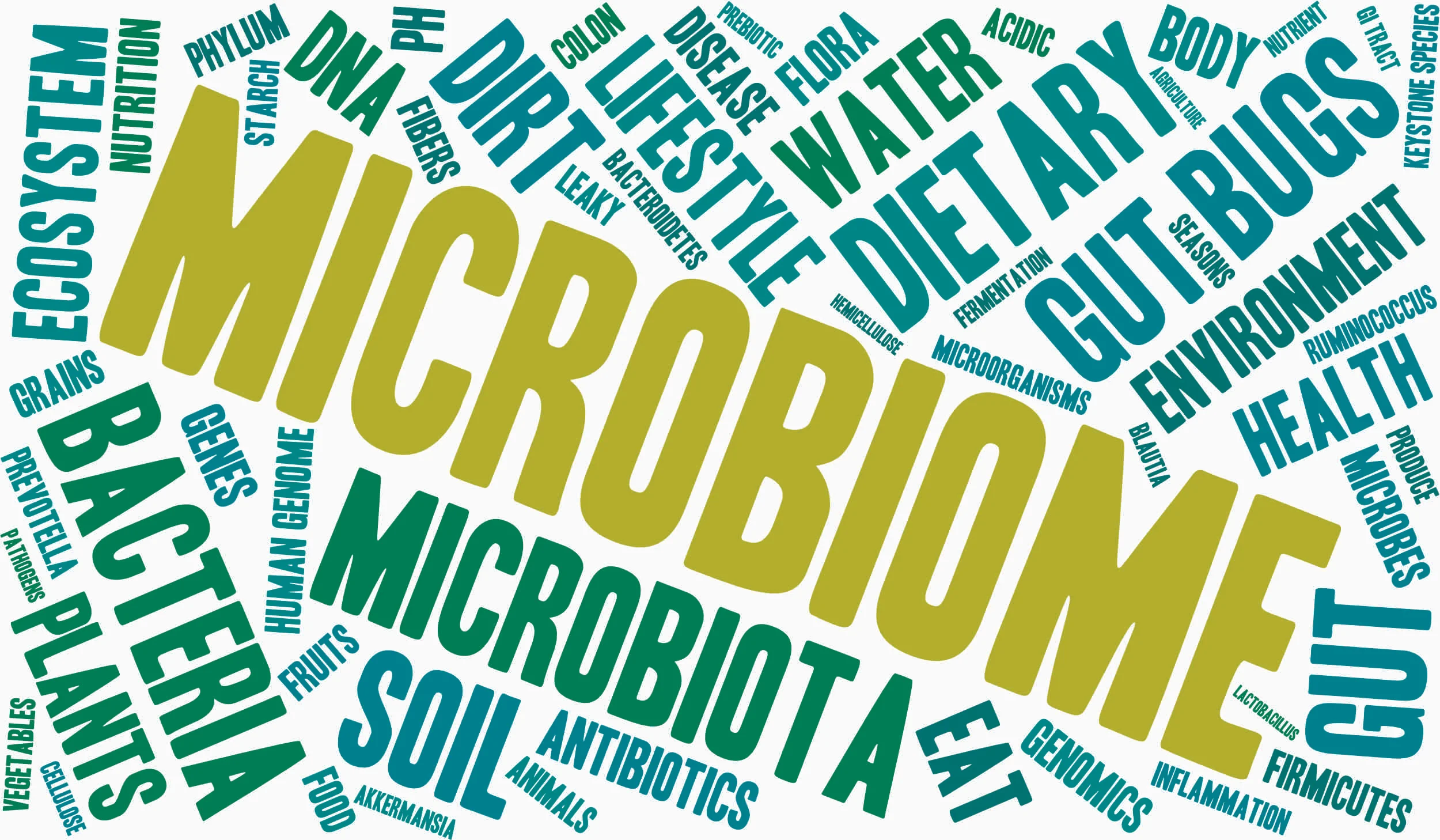 Gut Microbiota and the Immune Compromised