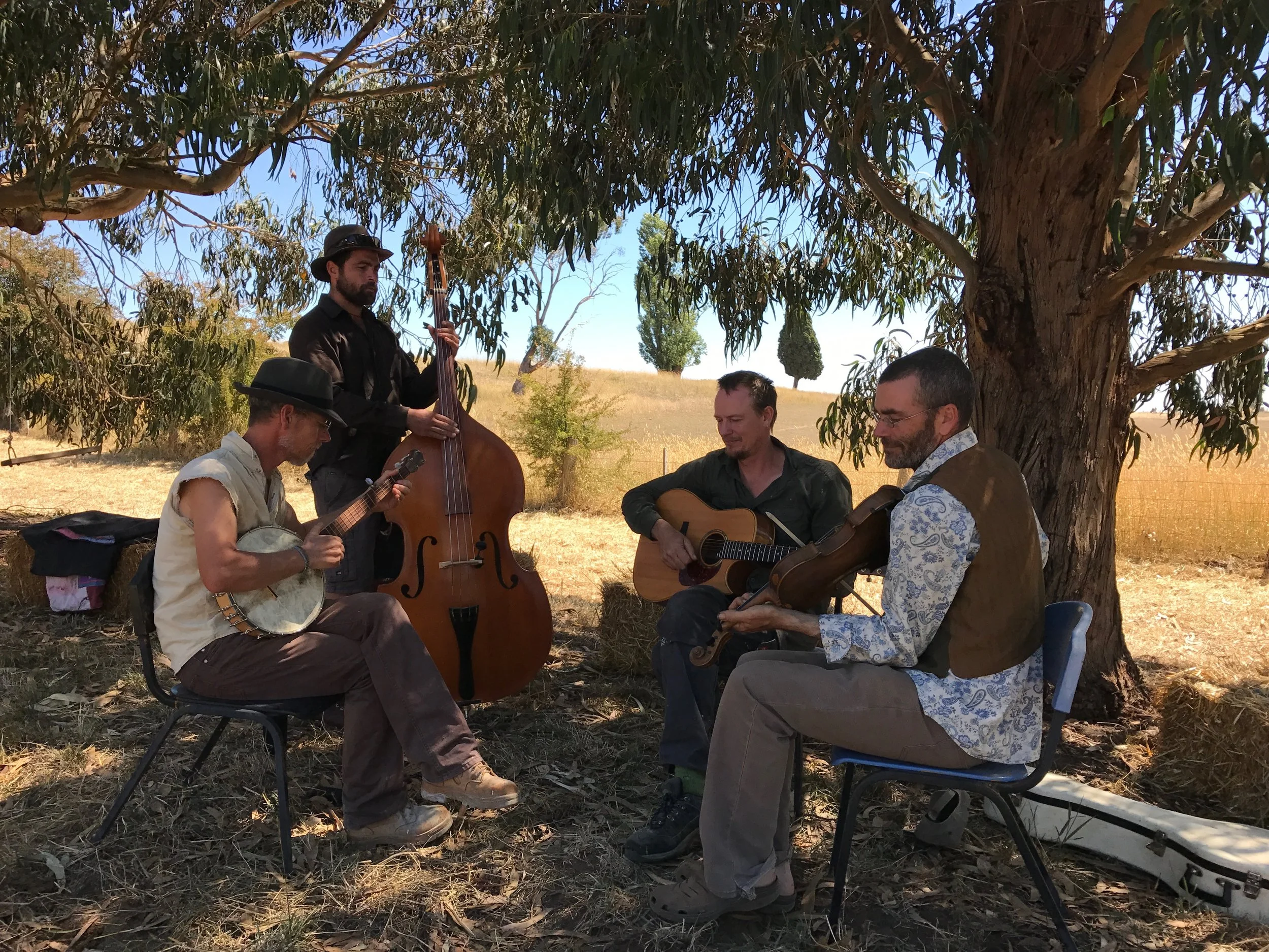 The Ciderhouse String Band