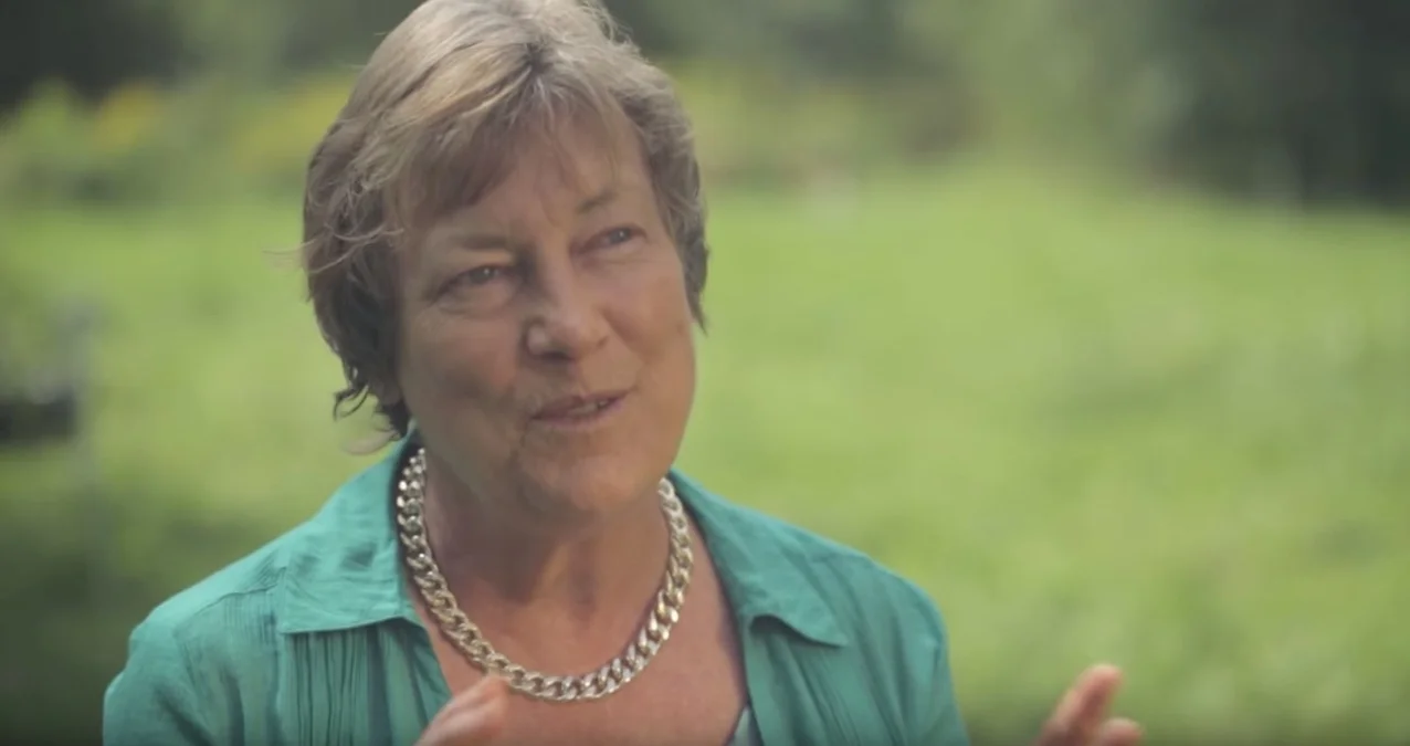 Soil ecology and nutrient-dense food