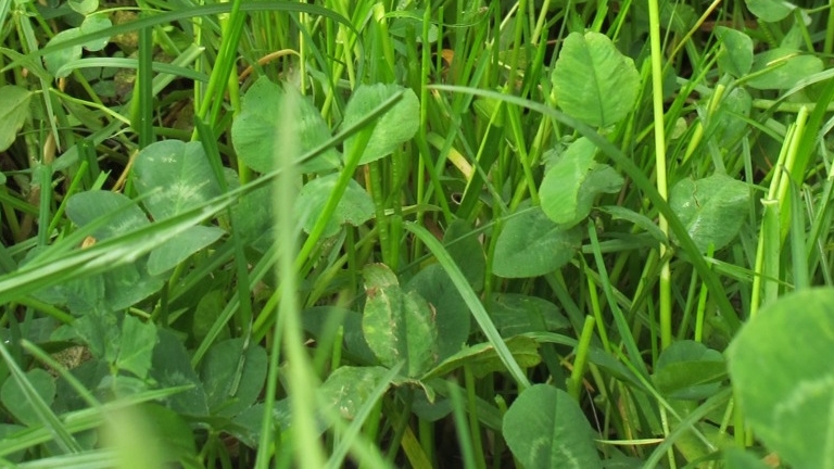 Farming is all about Microbes