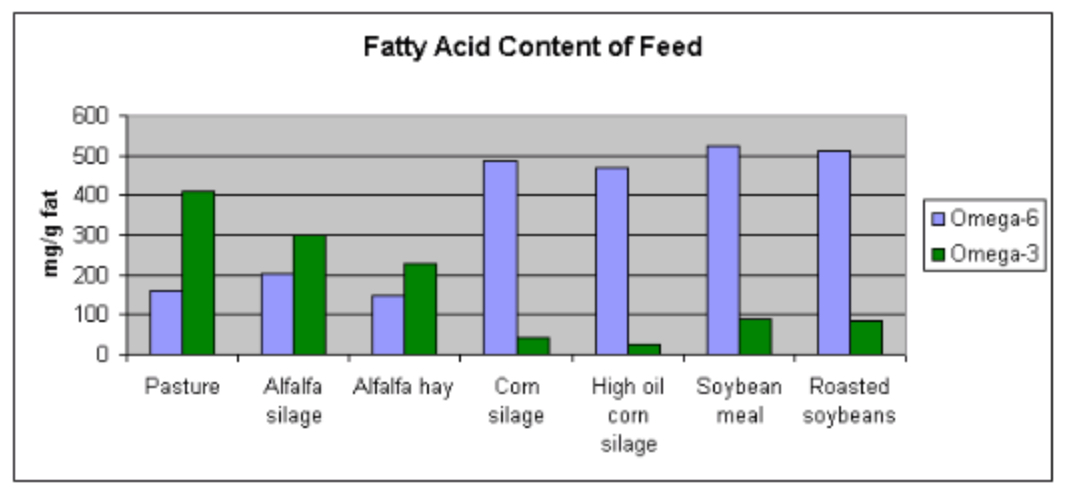 Image: When you switch to grass-fed products, you are helping to correct the gross imbalance in the western diet. Eating a balanced ratio of essential fatty acids is linked with a lower risk of cancer, heart disease, diabetes, obesity, and mental disorders. source