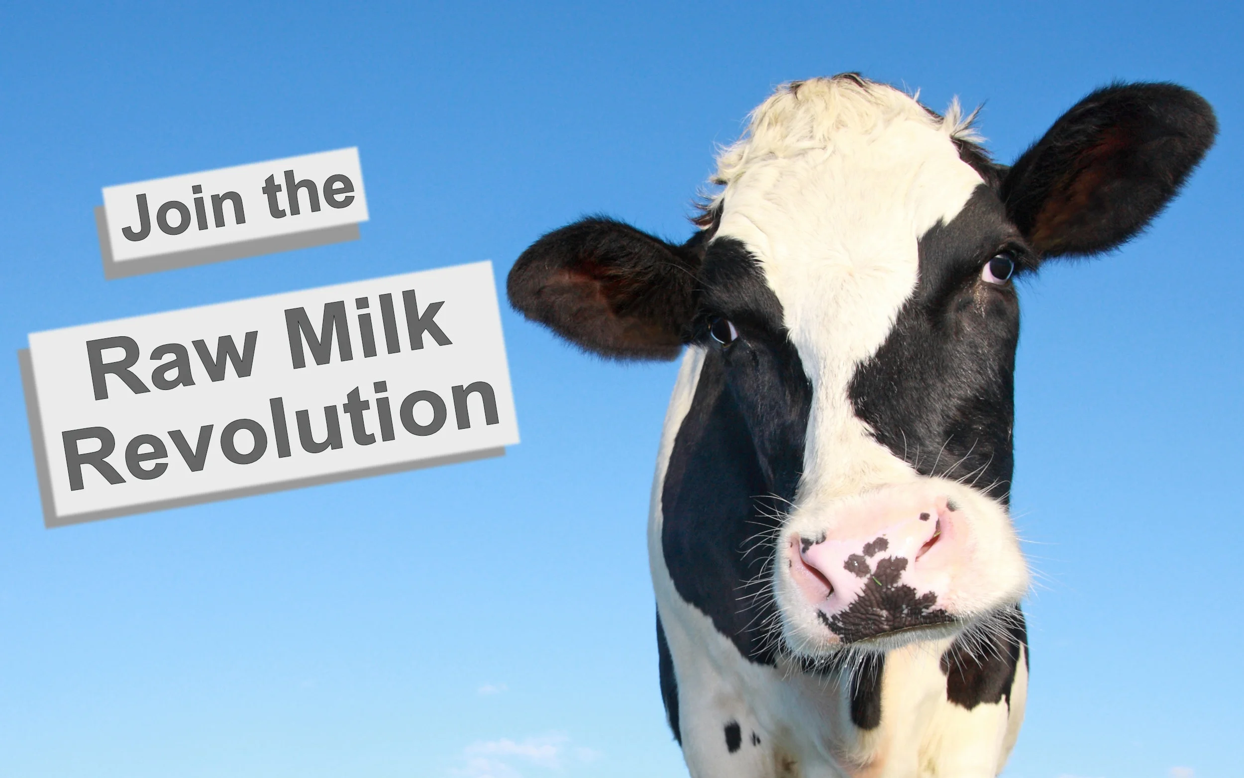 Join the raw milk revolution 6.jpg