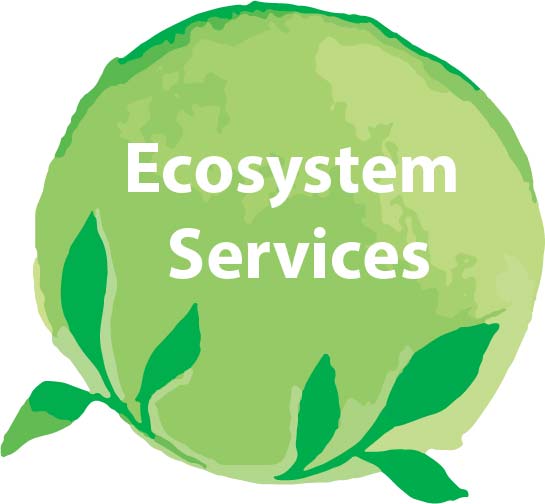 Ecosystem Services.jpg