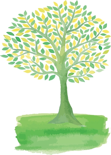 Tree.jpg