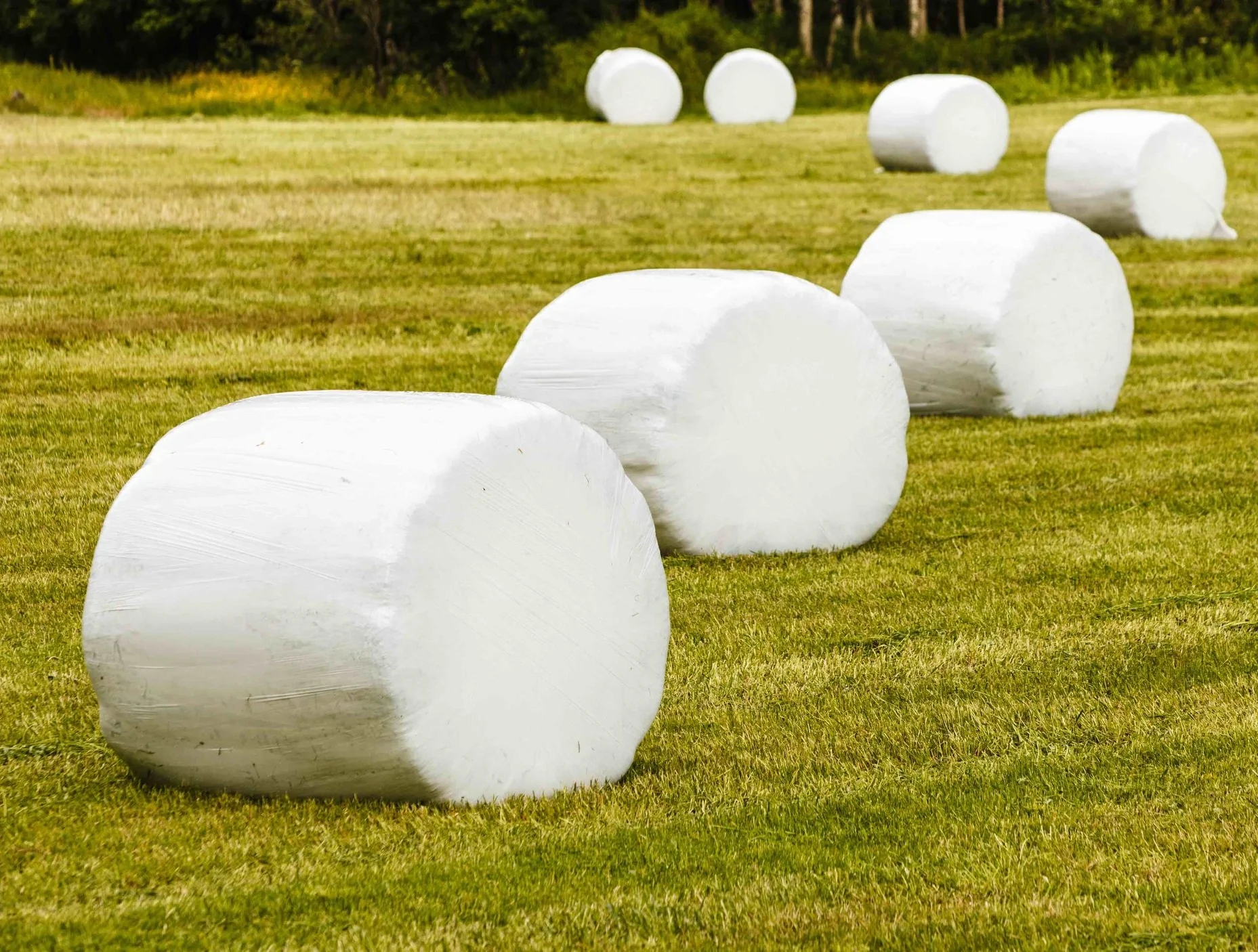 Image: this is how silage is typically made in Australia.
