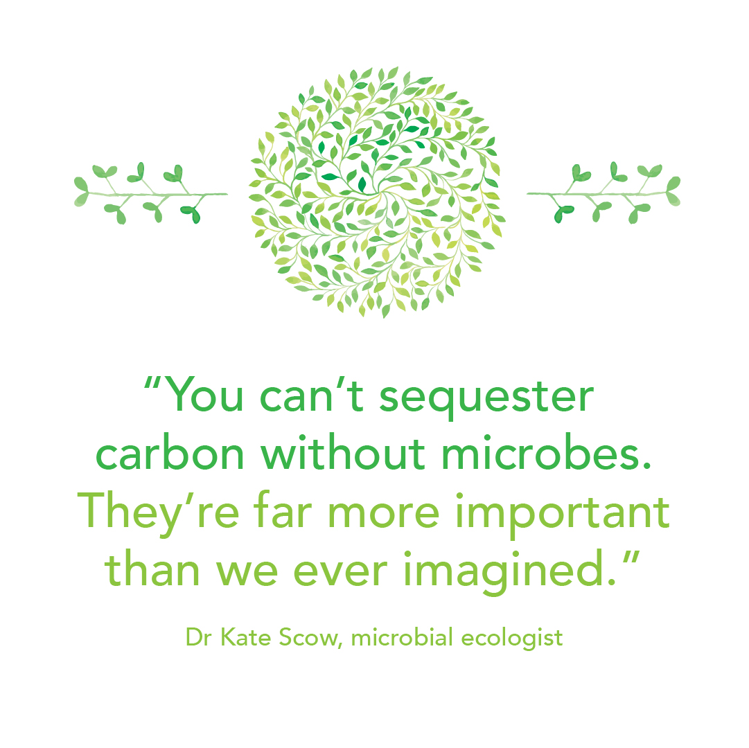 You cant sequester carbon.jpg